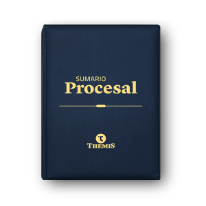 Sumario Procesal 2024