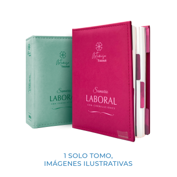 Sumario Laboral con Correlaciones 2026